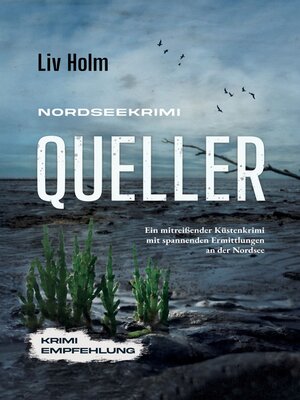 cover image of Nordseekrimi Queller